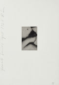Females series IV