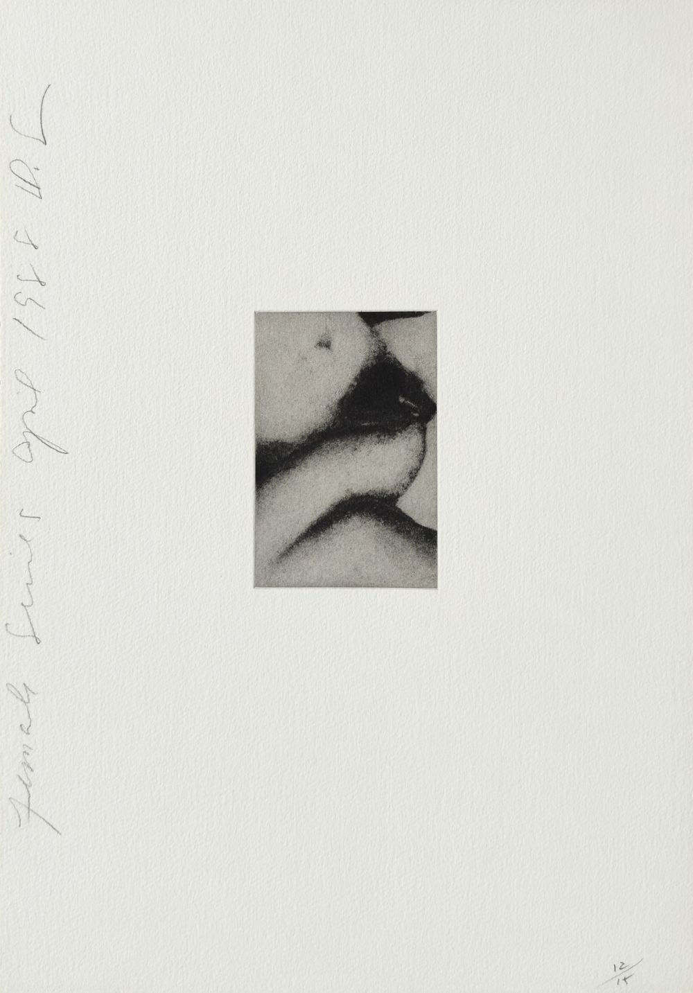 Females series IV