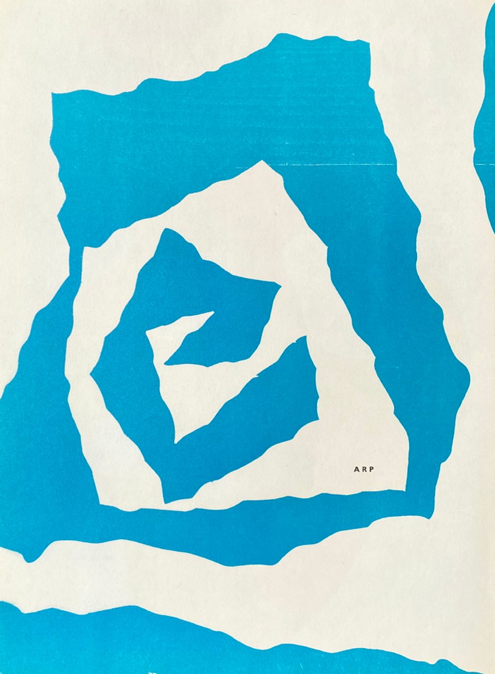 DLM033 - Fragment d'une plate-bande