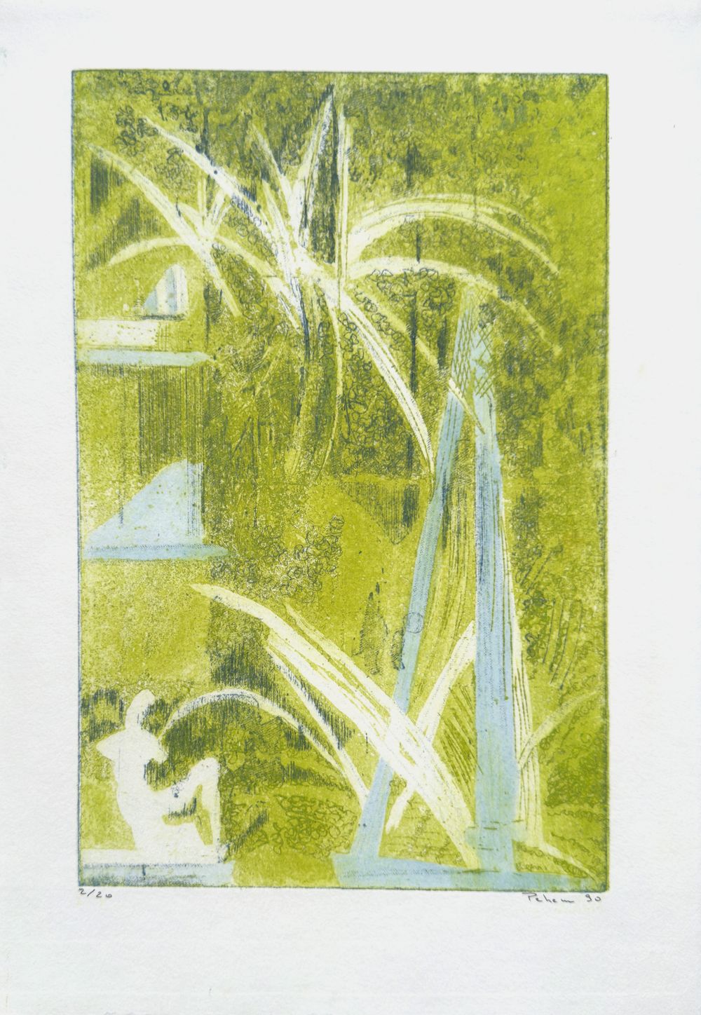 Chlorophylum