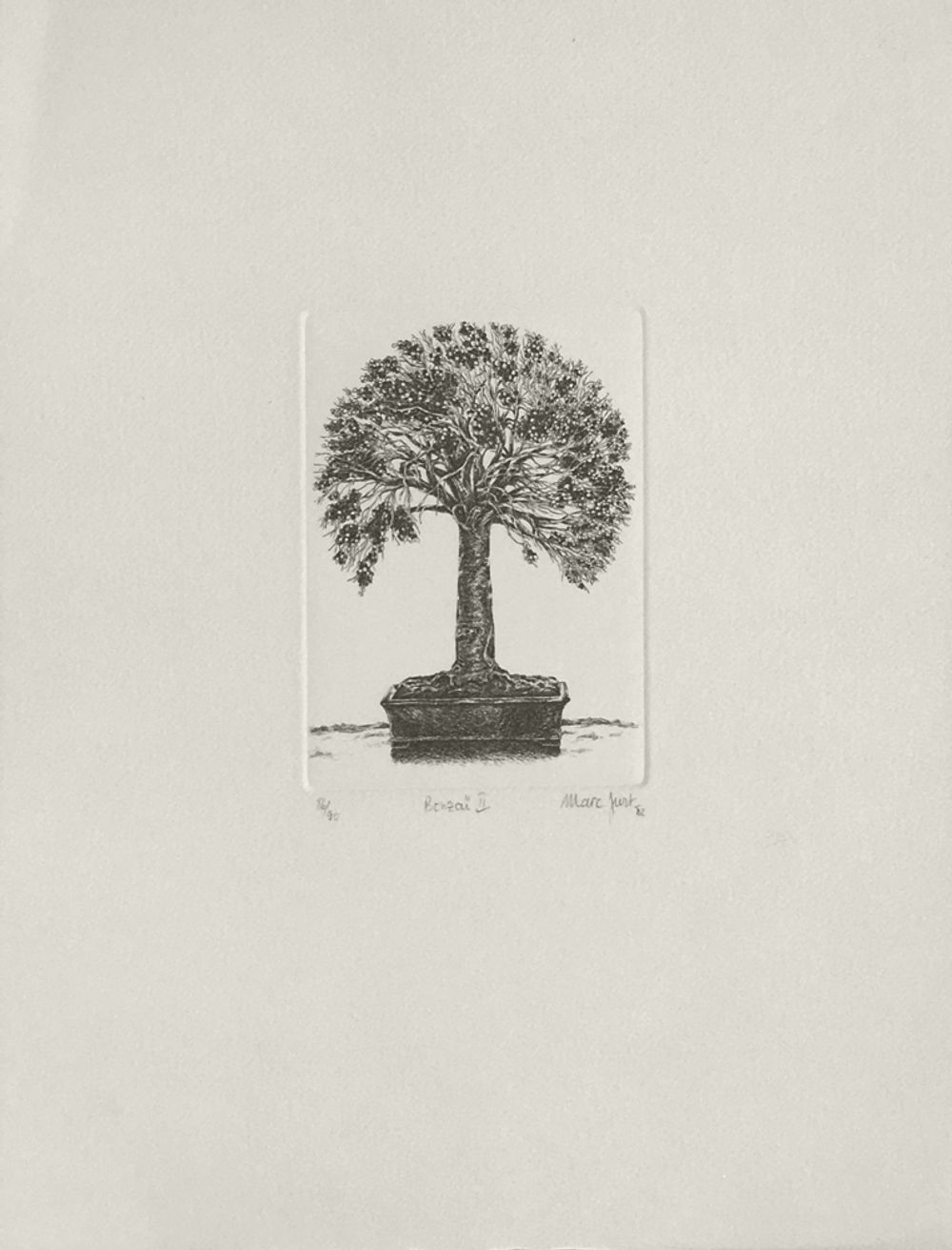 Bonzaï II