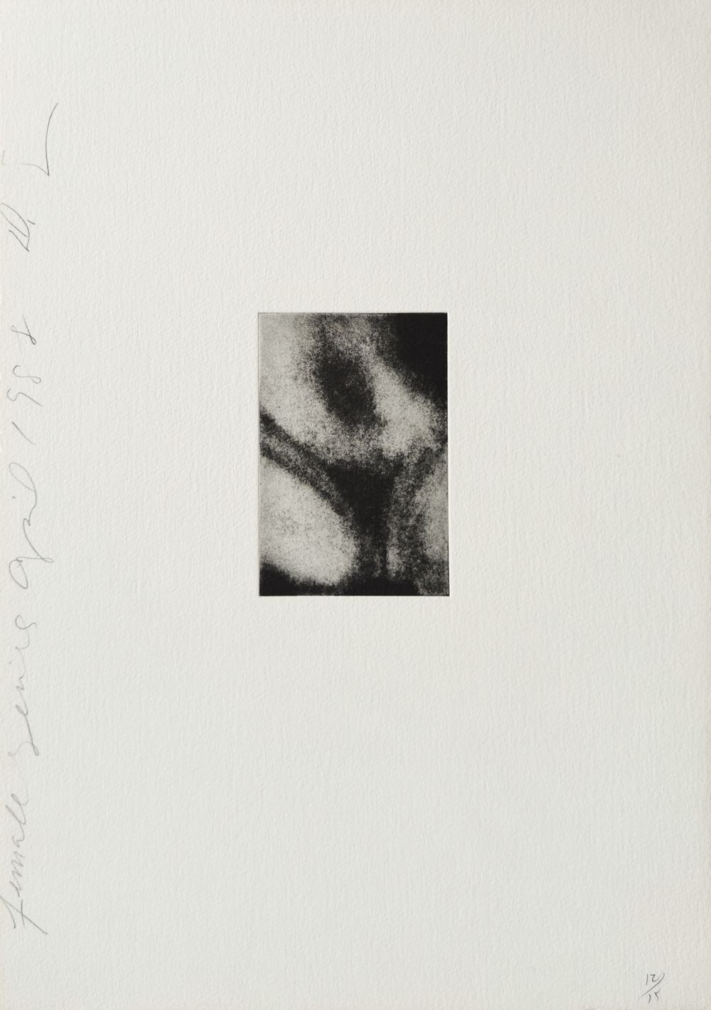Females series II