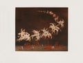 Les oiseaux de feu