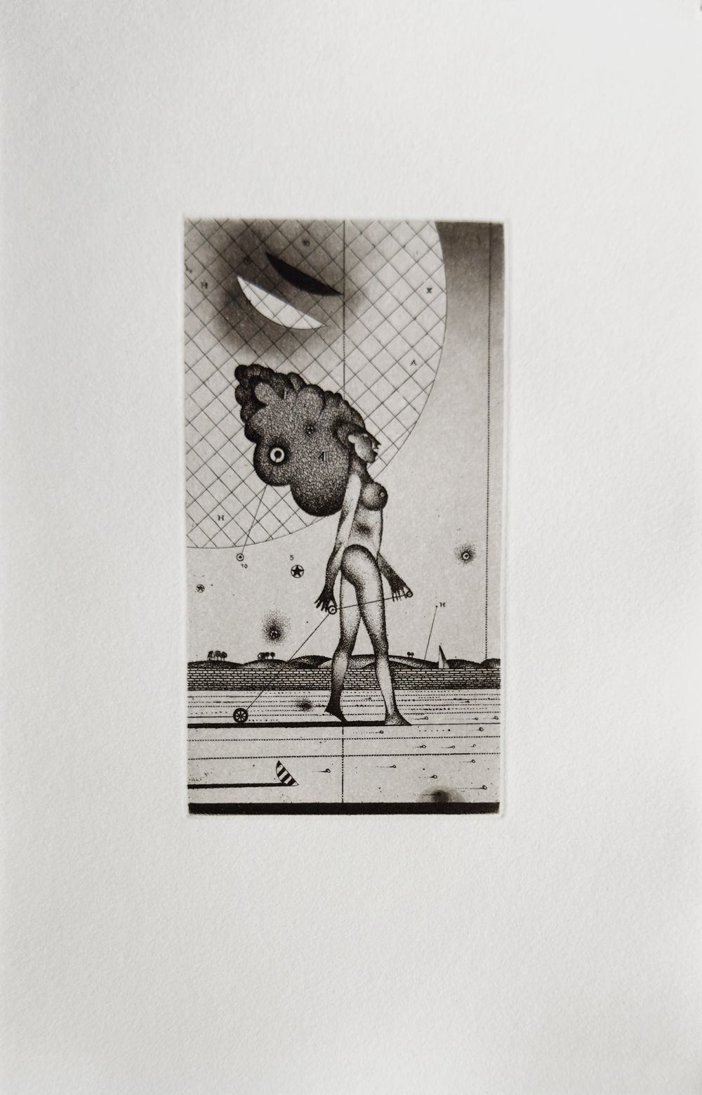 L'Oiseleuse (3 etchings full page + 6 in the text all unsigned) — vue 3
