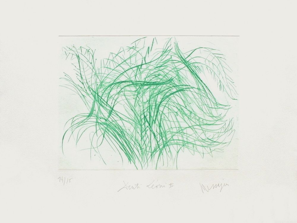 TR9203 - Denti leoni II