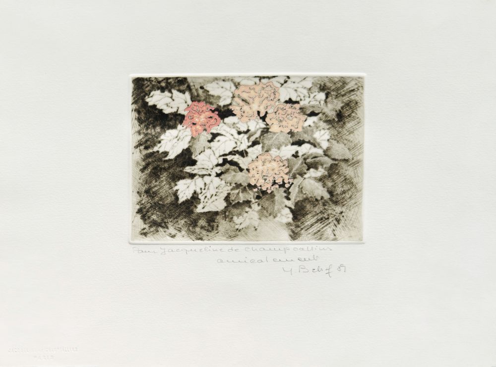 Rose de mai