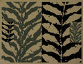 Jungle II