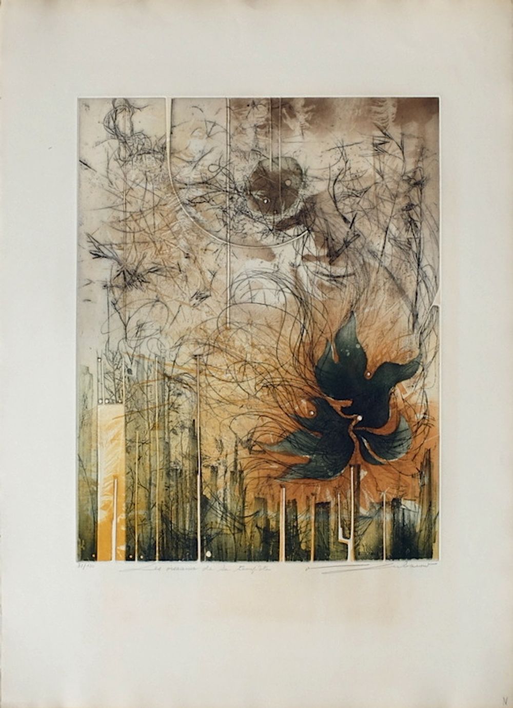 Les oiseaux de la tempête