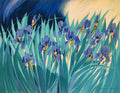 Les iris