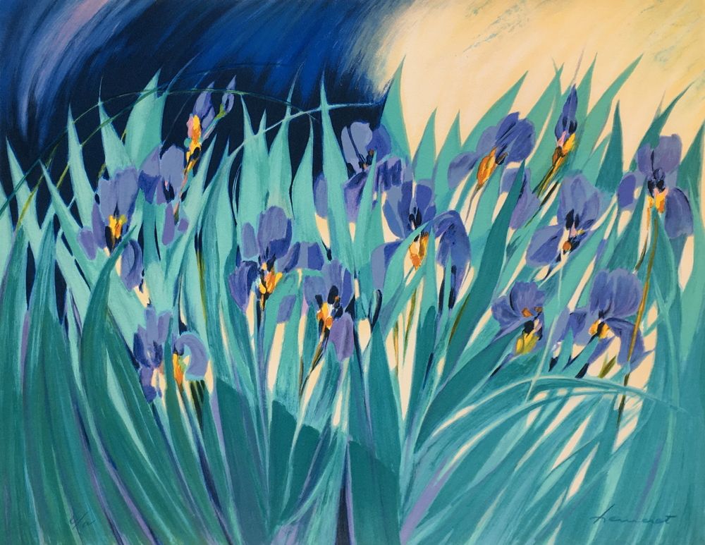 Les iris