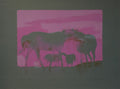 Les chevaux blancs (2e état)