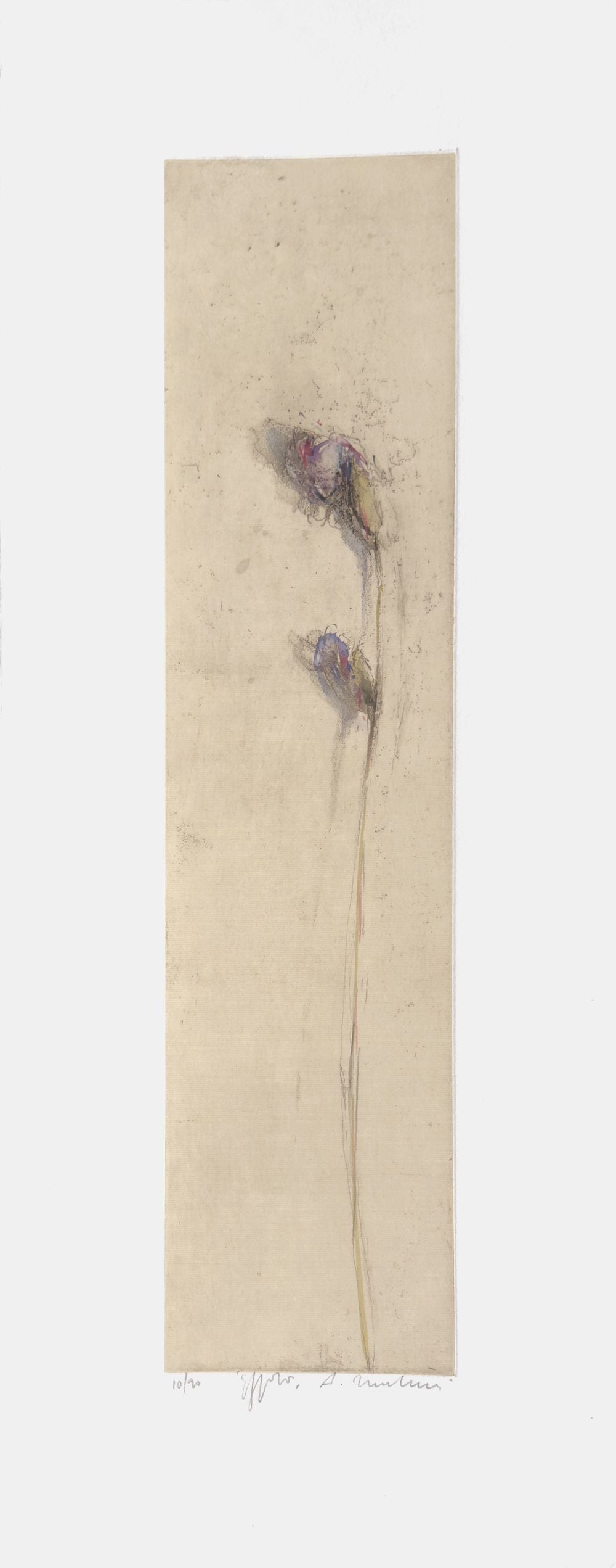 Giaggiolo II