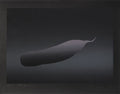 Radis noir