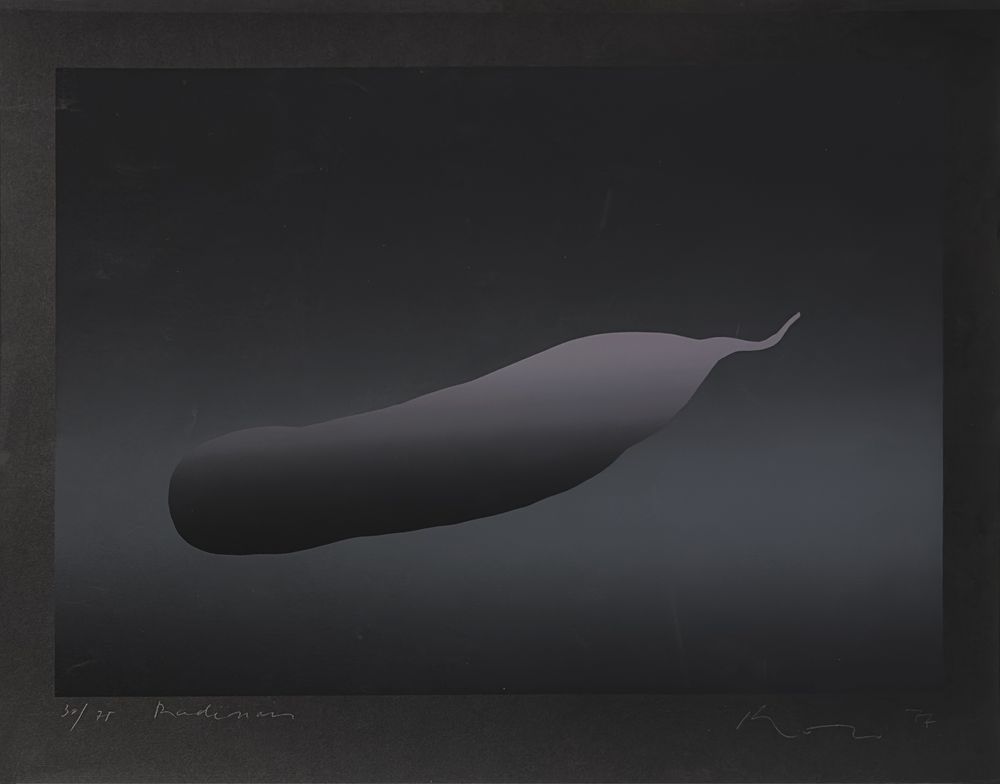 Radis noir