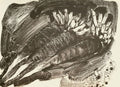 Zanahorias