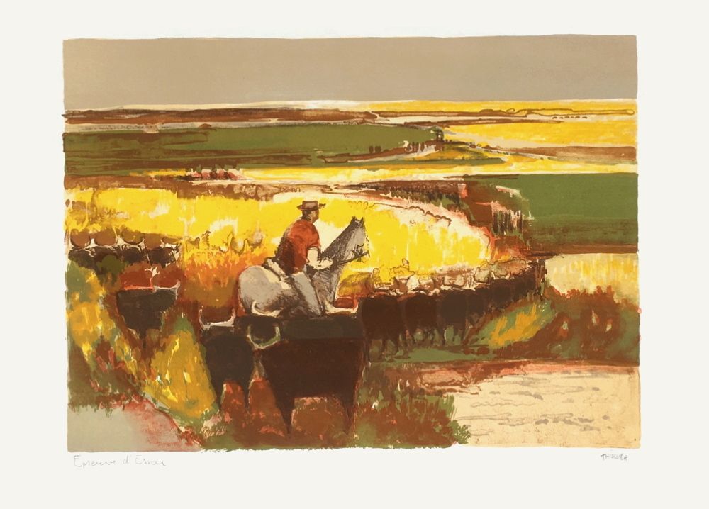 Cavalier en Camargue