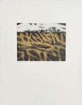 Traces