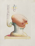 Toilette