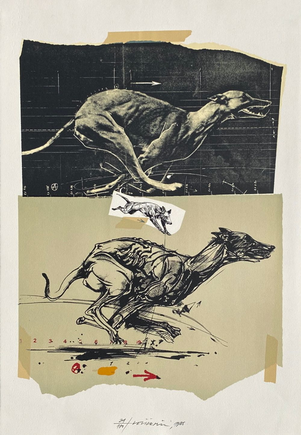 Animals in motion / Dog II