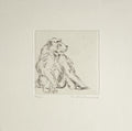 Le singe II