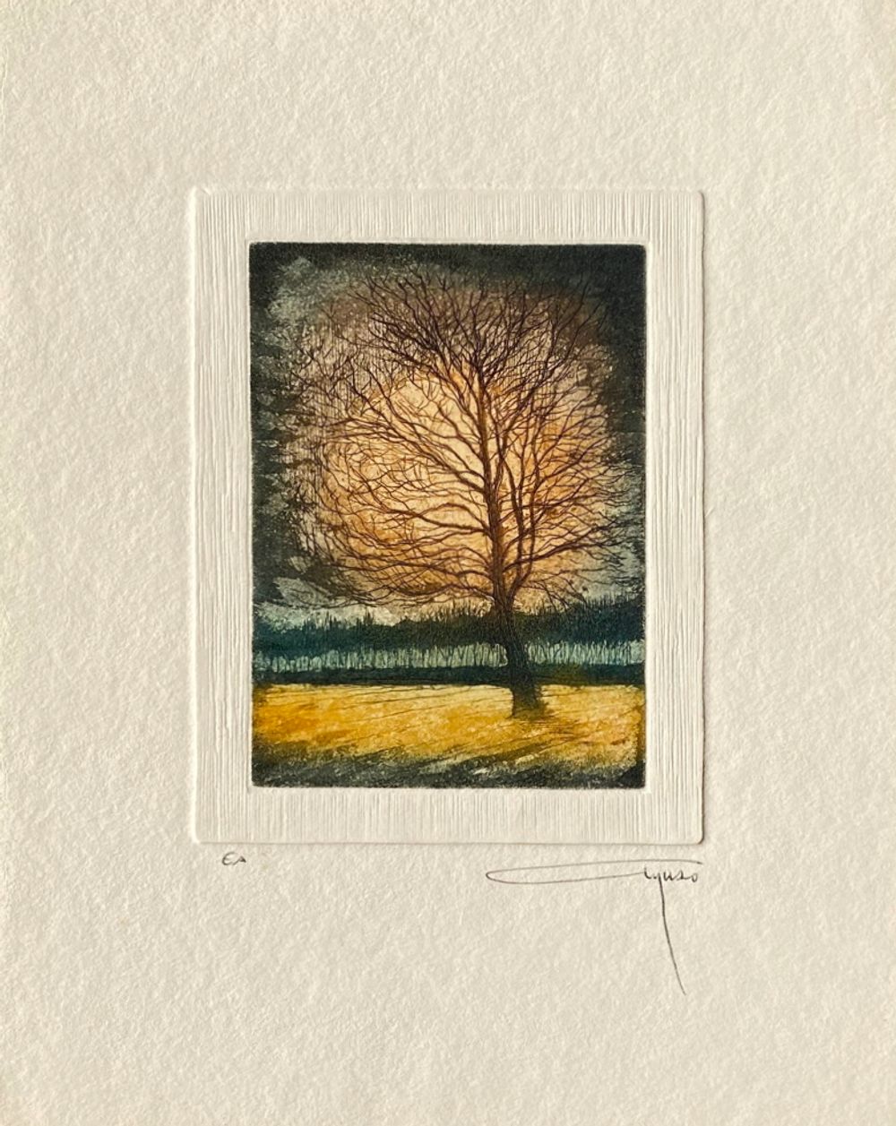 El gran árbol en invierno