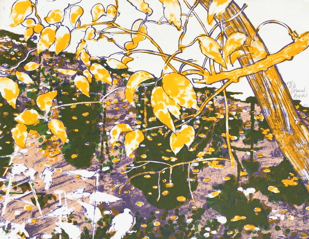 Le jardin