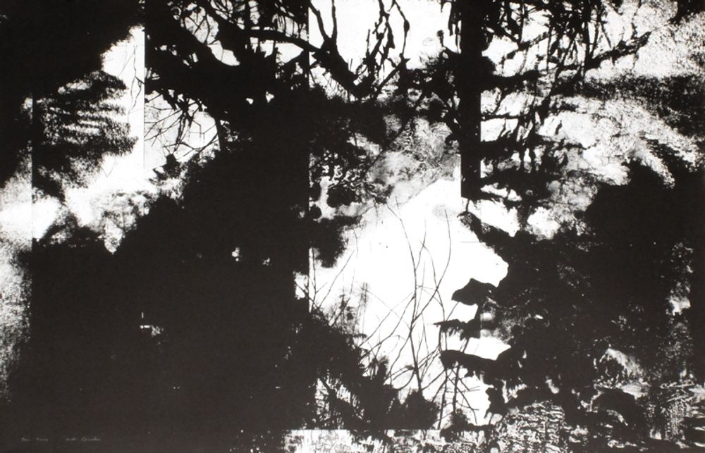 Paysage