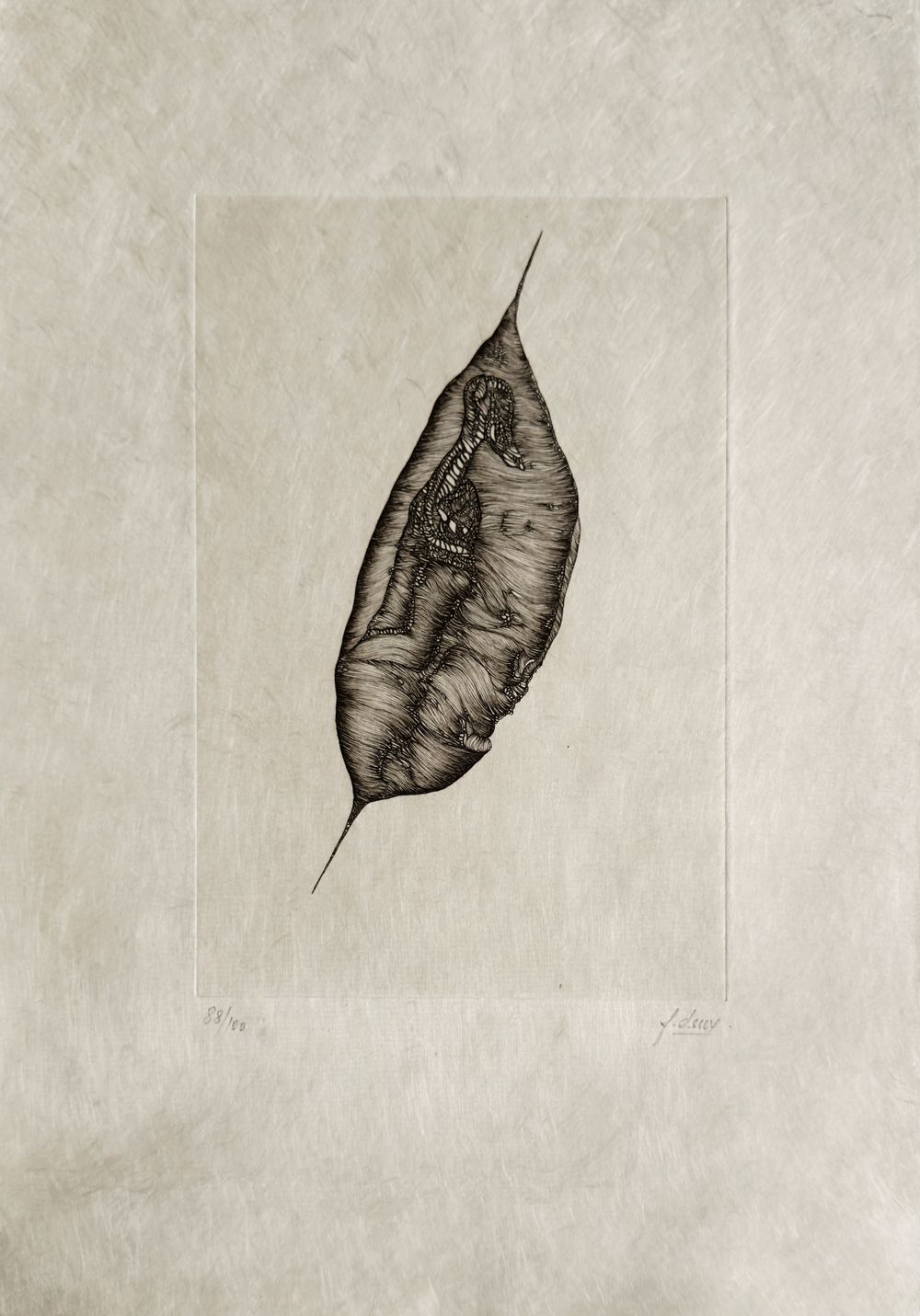 Extroït - 12 gravures signées — vue 2