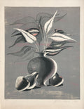 Nature morte aux fruits