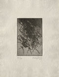 Composition 004