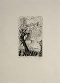 L'arbre dans la ville