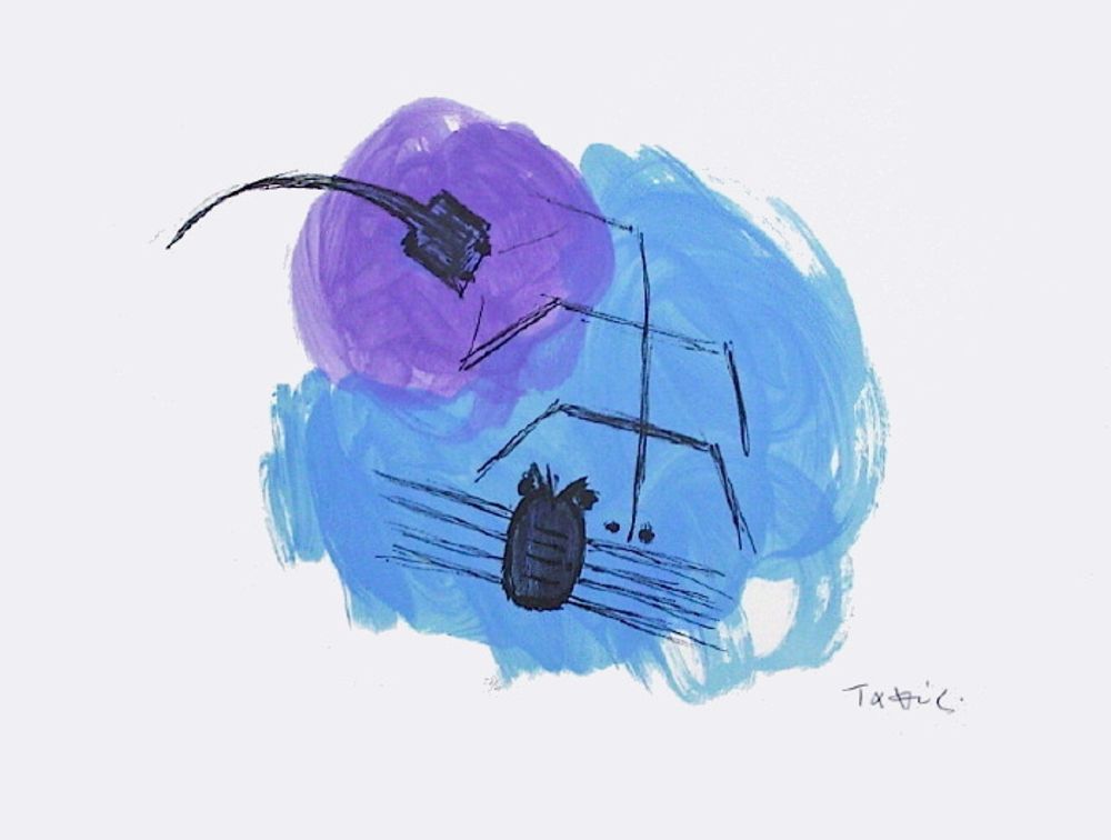 Insecte