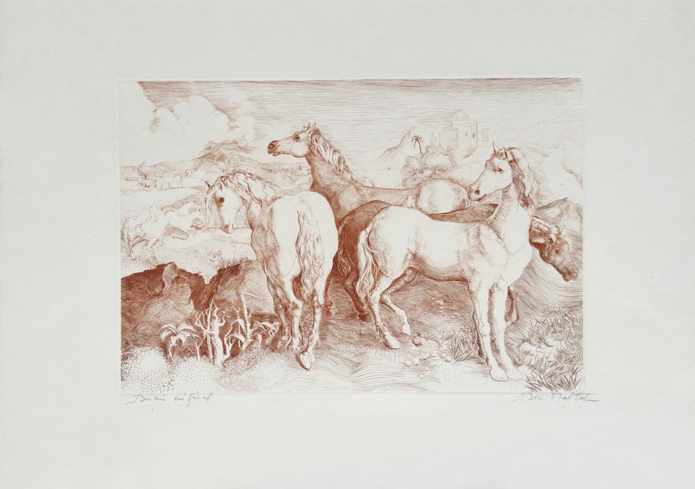 Les chevaux au repos