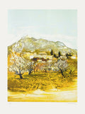 Printemps dans le Vaucluse