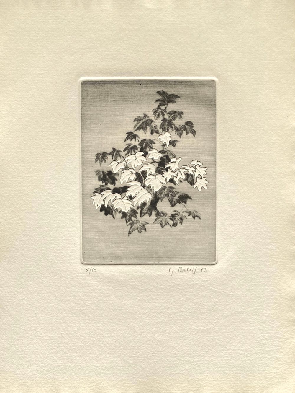 Fleurs NB II