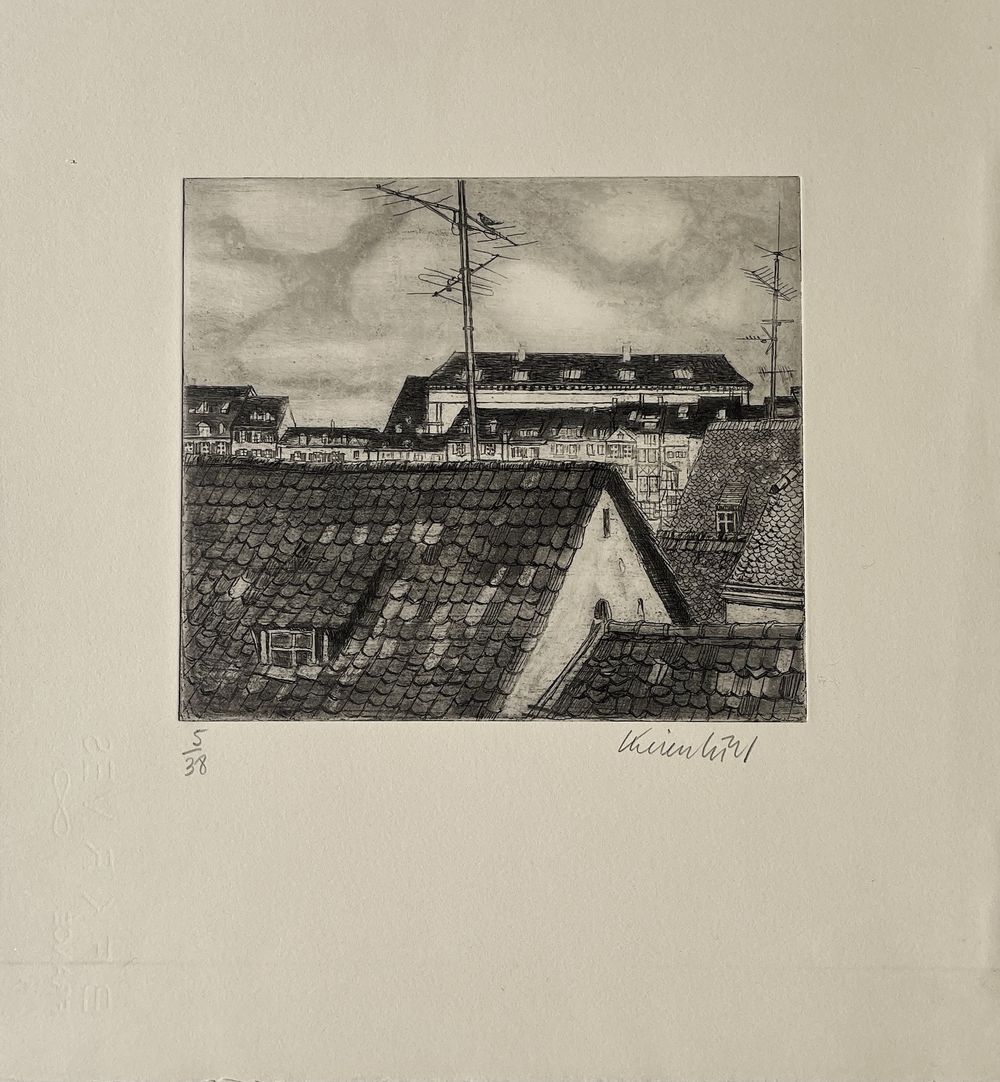 Toits à Bâle