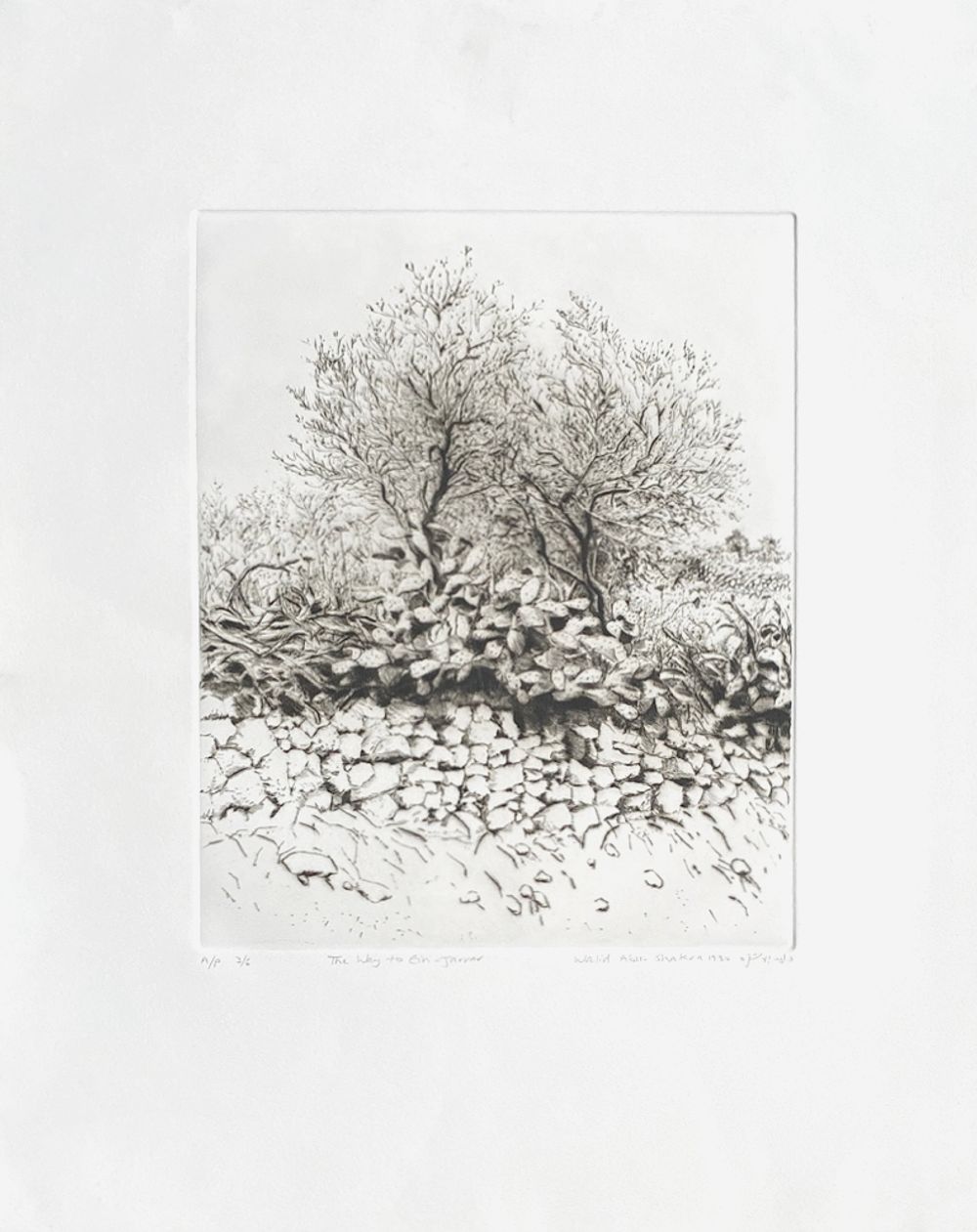 The way to Ein-Jarrar