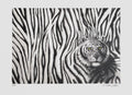 Le tigre