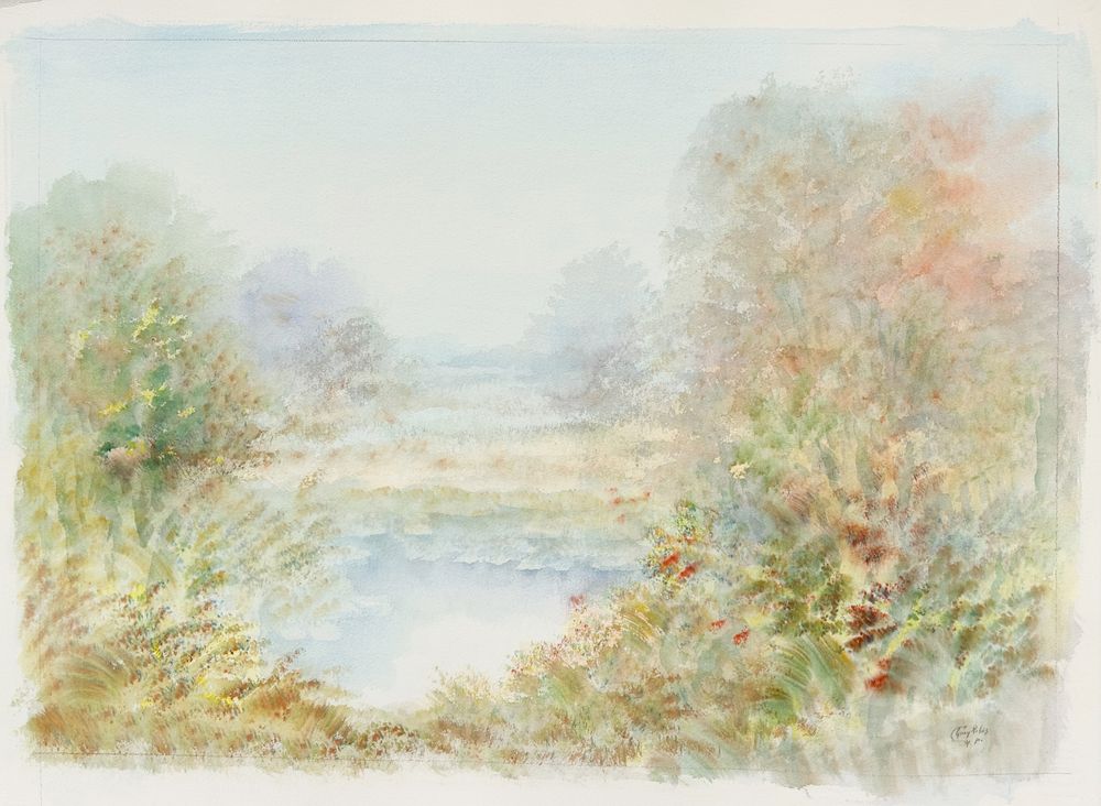 Paysage de Sologne IV