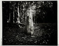 Monolithe