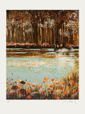 Coquelicots