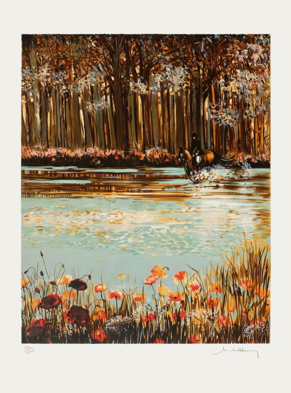 Coquelicots