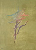 Fortuna 11