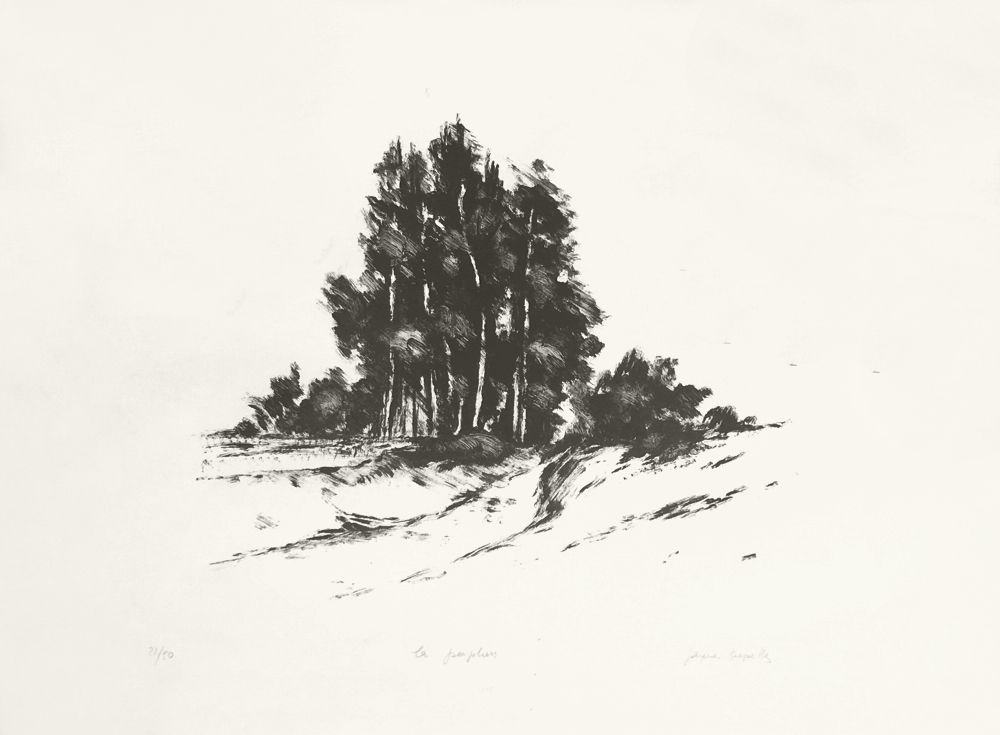 Jacques DEPERTHES