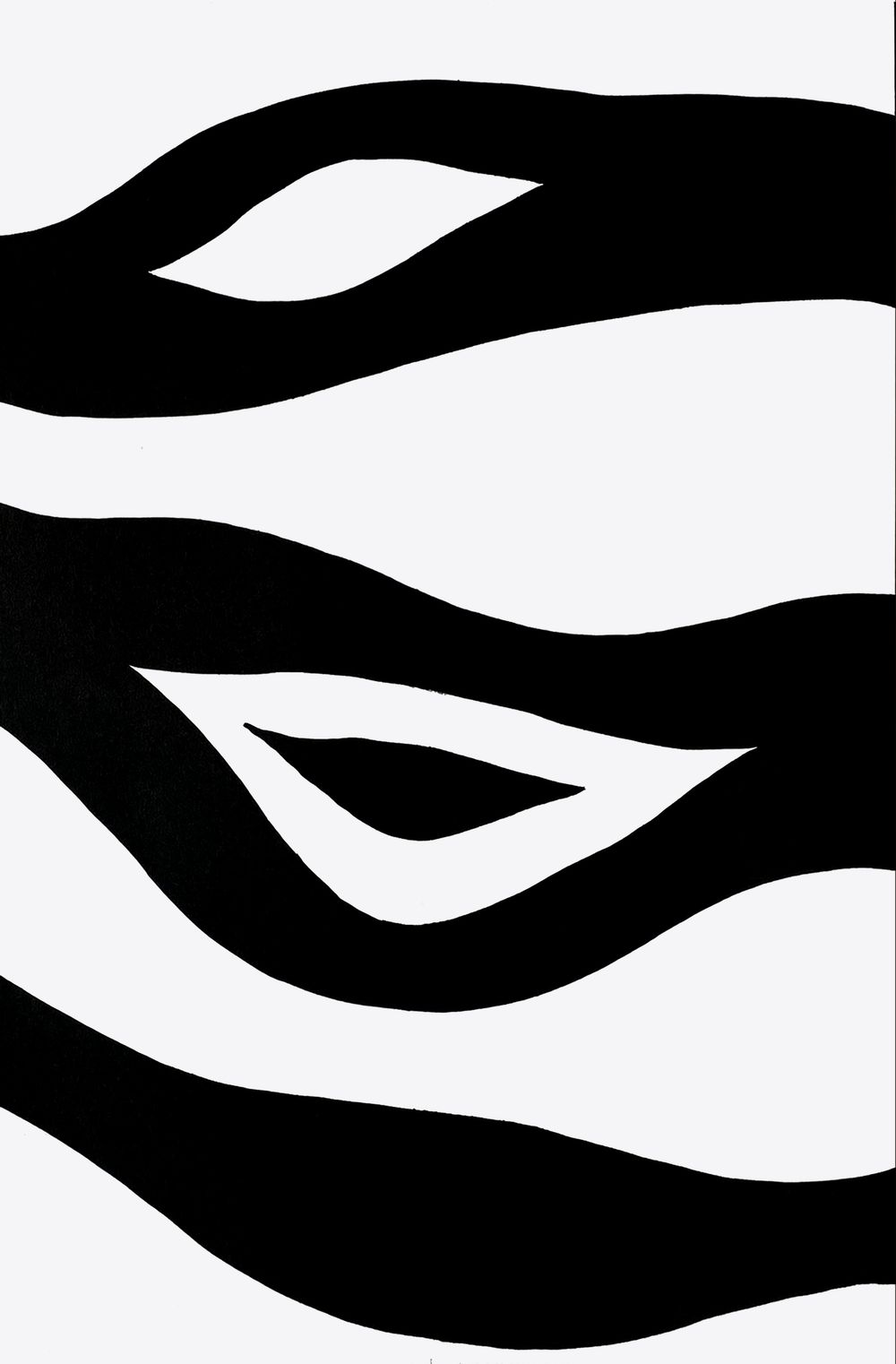 DLM156 - Zebra
