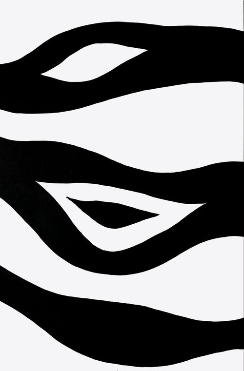 DLM156 - Zebra