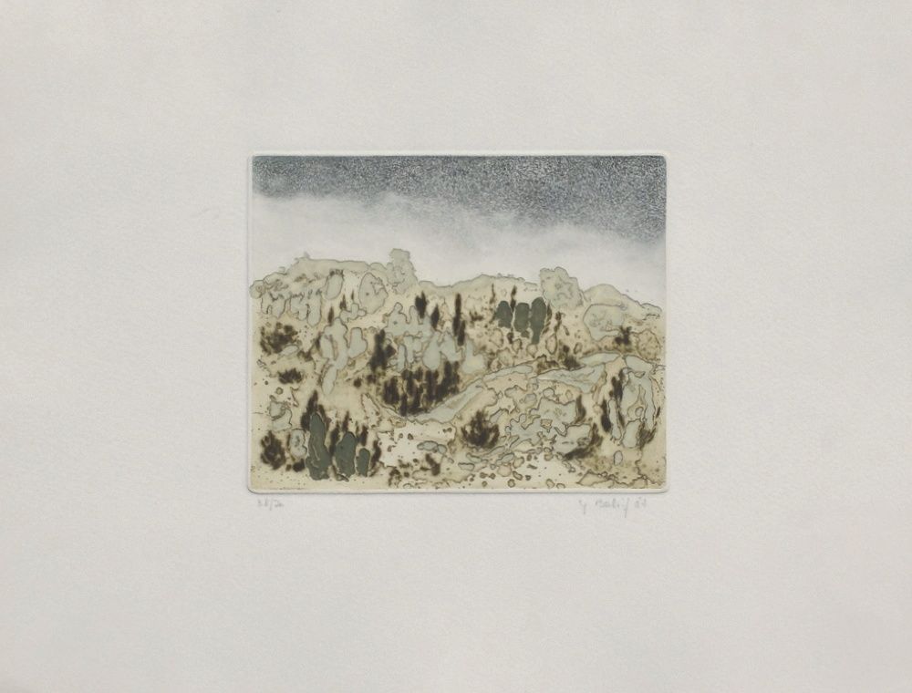 Les Alpilles II