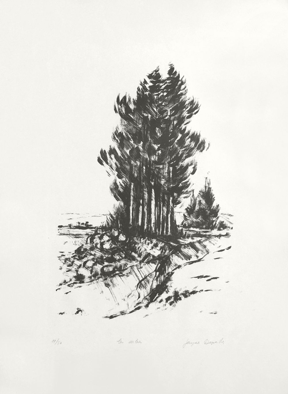 Les arbres