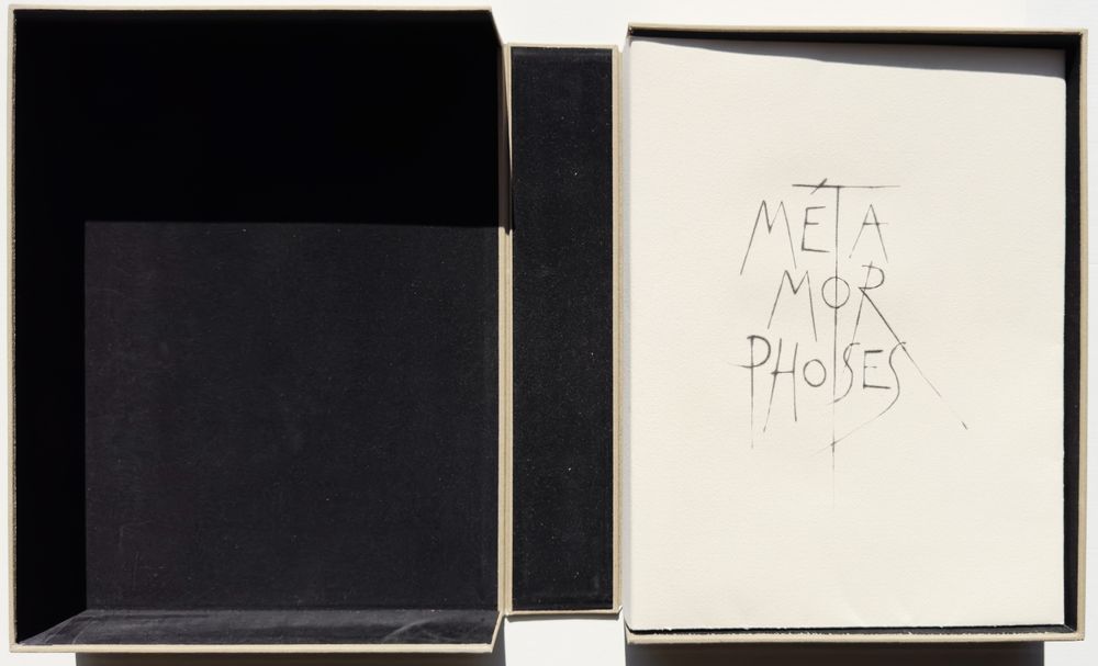 Métamorphoses - 20 gravures in texte + suite — vue 16