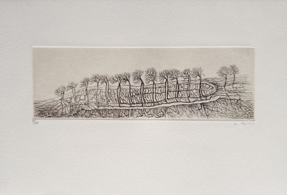 Histoire naturelle III (portfolio de 6 gravures) — vue 2